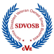 Disabled Veteran Owned Business